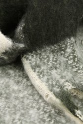 Écharpe d'hiver en kaki et écru de Liberty Island pour Femmes