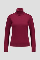 Productfoto 1 van Fijn bordeaux truitje met rolkraag door Liberty Island voor Dames
