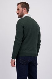 Achterkant van Fijn gebreide groene cardigan door Dansaert Black voor Heren
