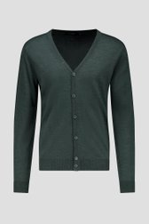 Productfoto 1 van Fijn gebreide groene cardigan door Dansaert Black voor Heren