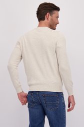 Achterkant van Fijne lichtbeige trui met ronde hals door Dansaert Blue voor Heren