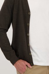 Fijne wollen cardigan - Bruin van Dansaert Black voor Heren