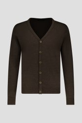 Fijne wollen cardigan - Bruin van Dansaert Black voor Heren