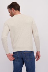Le dos de Fin pull beige à col en V  de Dansaert Blue pour Hommes