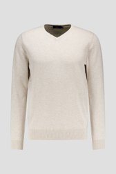 Photo produit 1 de Fin pull beige à col en V  de Dansaert Blue pour Hommes