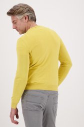 Gele trui met V-hals van Dansaert Blue voor Heren