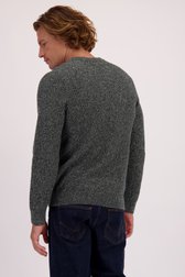 Achterkant van Gemêleerd blauw-groene trui met ronde hals  door Ravøtt voor Heren