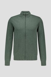 Photo produit 1 de Gilet vert zippé de Dansaert Blue pour Hommes