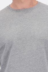 Detail van Grijs T-shirt met lange mouwen door Liberty Island voor Heren