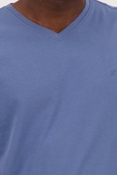 Grijsblauw T-shirt met V-hals van Ravøtt voor Heren