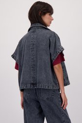 Achterkant van Grijsblauwe jeansvest met korte aangesneden mouwen door Louise voor Dames