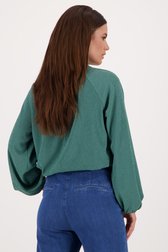 Grijsgroene blouse met fijne textuur van Liberty Island voor Dames