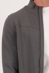 Detail van Grijsgroene cardigan met rits door Liberty Island voor Heren