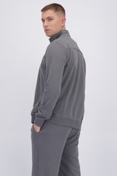 Achterkant van Grijze sweatervest door Liberty Island voor Heren