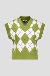 Productfoto 1 van Groen geruite mouwloze trui  door More & More voor Dames