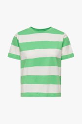 Groen gestreept T-shirt van JDY voor Dames