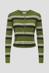 Productfoto 1 van Groen gestreept truitje met knopen door JDY voor Dames