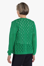 Groene cardigan met doorschijnende structuur van Claude Arielle voor Dames