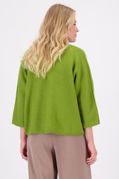Achterkant van Groene cardigan met driekwartmouwen door Libelle voor Dames