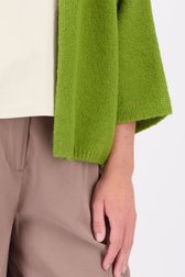 Detail van Groene cardigan met driekwartmouwen door Libelle voor Dames