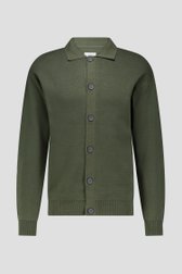 Productfoto 1 van Groene cardigan met polokraag door Casual Five voor Heren