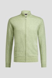 Productfoto 1 van Groene cardigan met rits door Dansaert Blue voor Heren