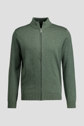Productfoto 1 van Groene cardigan met rits door Dansaert Blue voor Heren