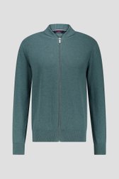 Groene tricot cardigan met rits van Dansaert Blue voor Heren