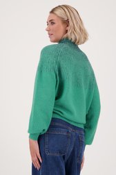 Groene trui met glitter van Libelle voor Dames