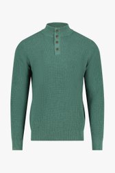 Groene trui met opstaande kraag van Dansaert Blue voor Heren