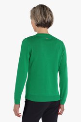 Groene trui met V-hals  van Claude Arielle voor Dames