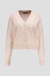 Productfoto 1 van Lichtbeige cardigan door Claude Arielle voor Dames