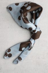 Productfoto 1 van Lichtblauw sjaaltje met bruine stippenprint door D'Auvry voor Dames