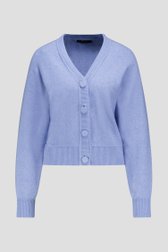 Productfoto 1 van Lichtblauwe cardigan  door Claude Arielle voor Dames