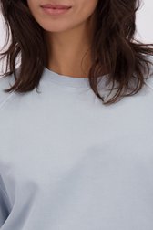 Detail van Lichtblauwe trui met korte mouwen door Louise voor Dames