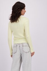 Achterkant van Lichtgele cardigan met polokraag door Louise voor Dames