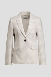 Productfoto 1 van Lichtgrijze gestreepte blazer door D'Auvry voor Dames