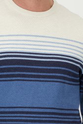 Luchtige trui in beige en blauw van Dansaert Blue voor Heren