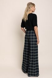 Achterkant van Multicolor bandplooibroek met wijde pijpen door AC by Annelien Coorevits voor Dames