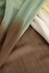 Productfoto 1 van Multicolor sjaaltje met dégradé-effect door D'Auvry voor Dames
