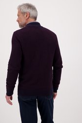 Navy-bordeaux cardigan van Dansaert Blue voor Heren