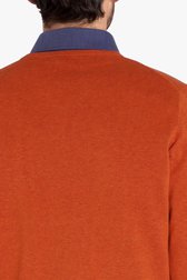 Oranje katoenen trui met V-hals van Dansaert Blue voor Heren