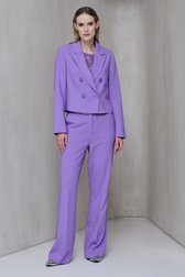 Paarse geklede broek van D'Auvry voor Dames