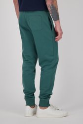 Pantalon de jogging vert foncé de Ravøtt pour Hommes