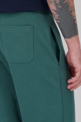 Pantalon de jogging vert foncé de Ravøtt pour Hommes
