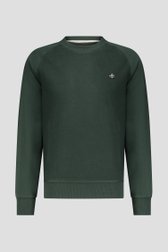 Pull à col rond vert foncé de Bluefields pour Hommes