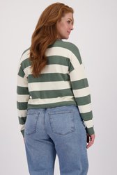 Le dos de Pull à rayures blanc et vert de ONLY Carmakoma pour Femmes