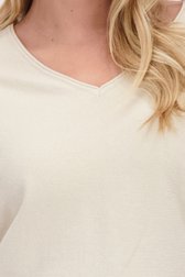 Détail de Pull beige clair à col en V de Libelle pour Femmes