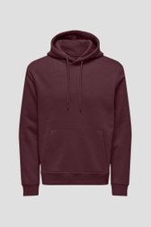 Photo produit 1 de Pull bordeaux à capuche de Only & Sons pour Hommes