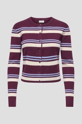 Photo produit 1 de Pull bordeaux à rayures avec boutons de JDY pour Femmes